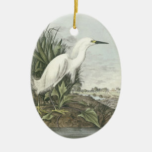 Ornamento De Cerâmica Egret nevado por Audubon