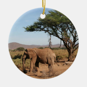 Ornamento De Cerâmica Elefante na Reserva Nacional de Samburu