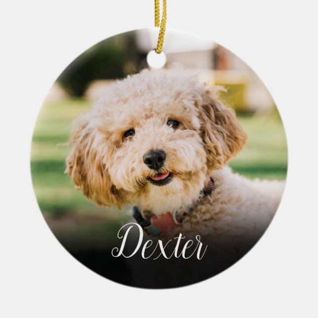 Ornamento De Cerâmica Elegante Pet Photo Cat Dog (Frente)