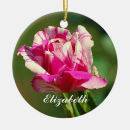 Ornamento De Cerâmica Elizabeth Peppermint Ornament Rosa de Natal