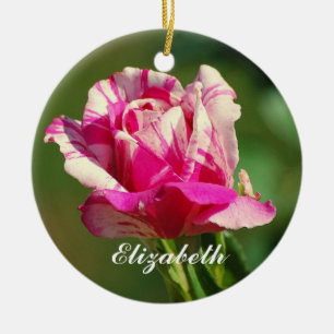Ornamento De Cerâmica Elizabeth Peppermint Ornament Rosa de Natal