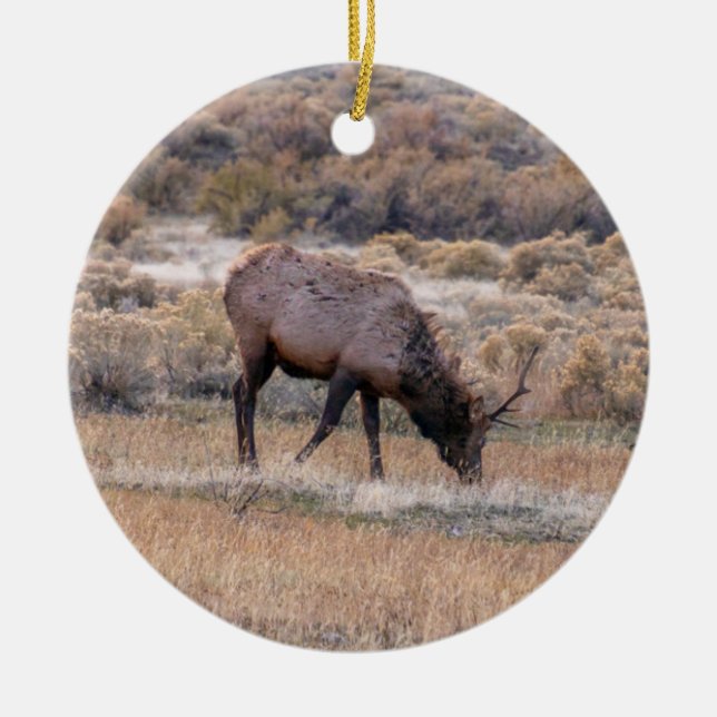 Ornamento De Cerâmica Elk Deer Ornament (Frente)