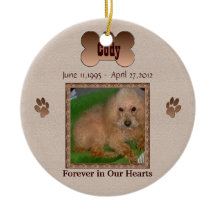 Em memória do seu cão