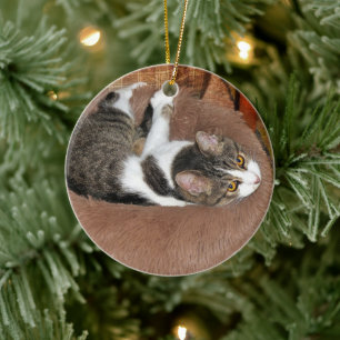 Ornamento De Cerâmica Em Sua Cama De Gato