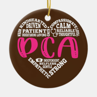 Ornamento De Cerâmica Enfermeira PCA Ama Enfermagem Estudantes CNA RN En