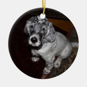 Ornamento De Cerâmica English Setter Puppy
