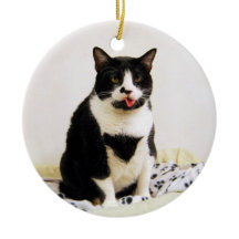 Engraçado Tuxedo Ornament