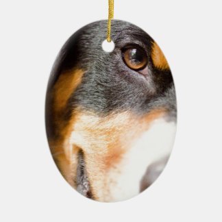 Ornamento De Cerâmica Entlebucher - I've obteve meus olhos em você!