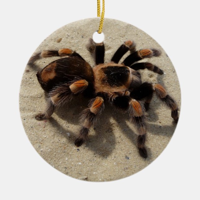 Ornamento De Cerâmica Envenenamento tarantula brachypelma vermelho-joelh (Frente)
