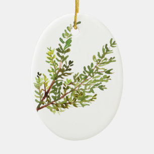 Ornamento De Cerâmica Erva rosada Pintura a aquarela Rosemary