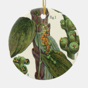 Ornamento De Cerâmica Ervas e especiarias alimentares vintage, planta de