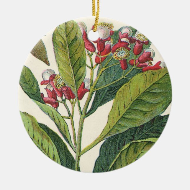 Ornamento De Cerâmica Ervas e especiarias alimentares vintage, planta de (Frente)