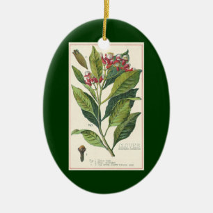 Ornamento De Cerâmica Ervas e especiarias alimentares vintage, planta de