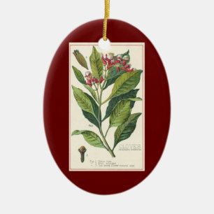 Ornamento De Cerâmica Ervas e especiarias alimentares vintage, planta de