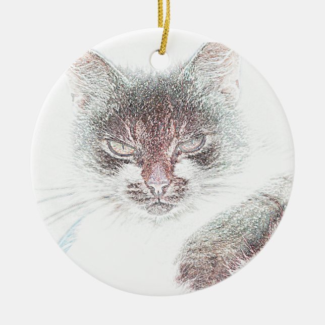 Ornamento De Cerâmica Esboço de Rosto de Gata Fofa e Zangada (Frente)