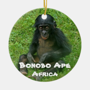 Ornamento De Cerâmica Espécies Ameaçadas de Extinção Série Bonobo A