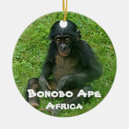 Ornamento De Cerâmica Espécies Ameaçadas Série Bonobo Ape