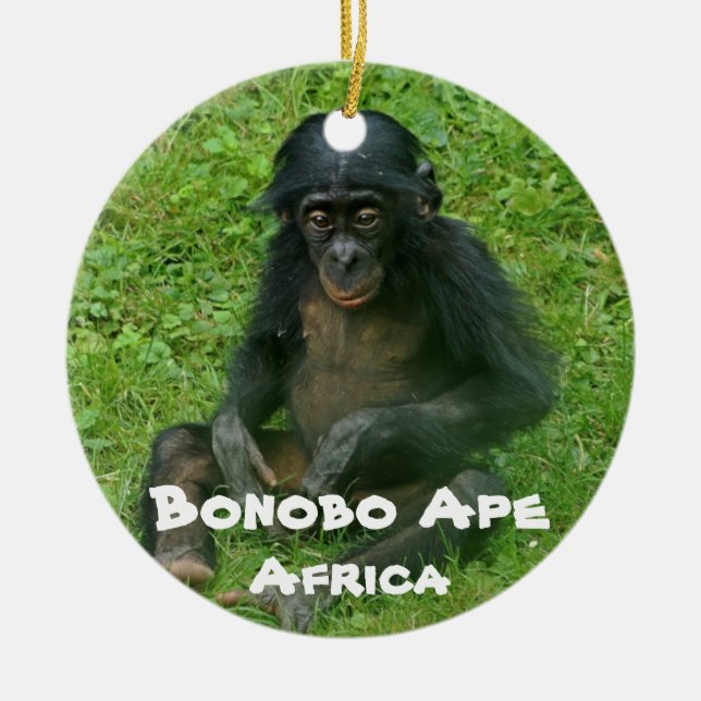 Ornamento De Cerâmica Espécies Ameaçadas Série Bonobo Ape (Frente)