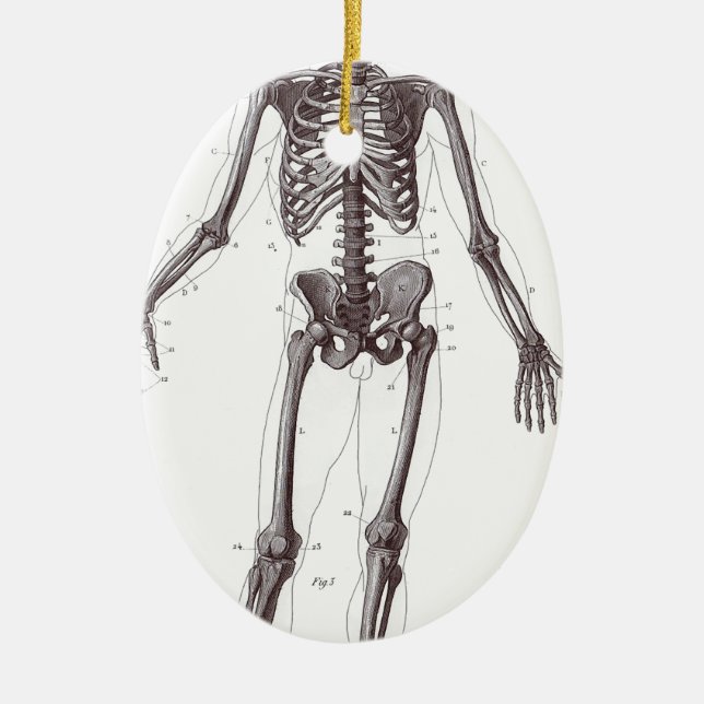 Ornamento De Cerâmica Esqueleto completo (Frente)