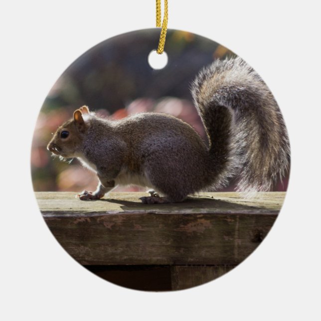 Ornamento De Cerâmica Esquilo brilhante (Frente)