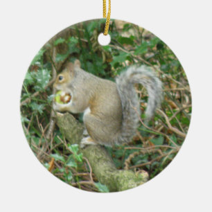 Ornamento De Cerâmica Esquilo com aniversário do costume da bolota