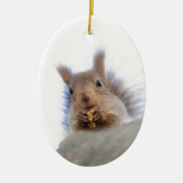 Ornamento De Cerâmica Esquilo com noz