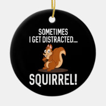 ESQUILO DISTRAÍDO ENGRAÇADO Animal Zoológico Fazen