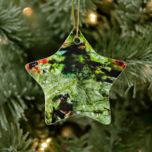 Estrela de ornamento,decor de estrela Abstrato