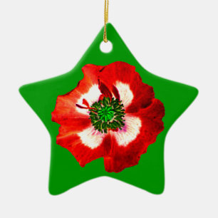Ornamento De Cerâmica Estrela verde verde verde de cor azul com pipoca