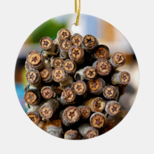 Ornamento De Cerâmica Estrelas ao longo das árvores de madeira de algodã