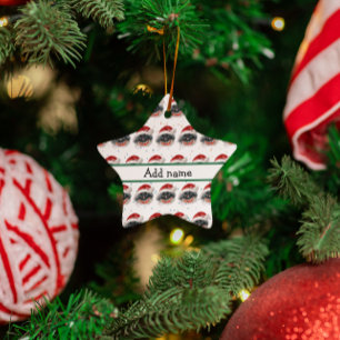 Ornamento De Cerâmica Estrelas de Natal da Raça Canina Pekingese