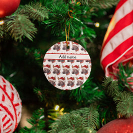 Ornamento De Cerâmica Estrelas de Natal de Cachorro Sem Cabelo Mexicano