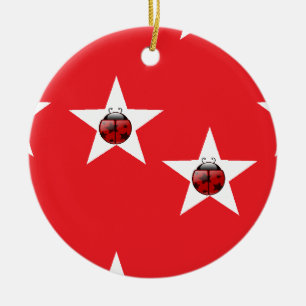Ornamento De Cerâmica Estrelas Ladybug