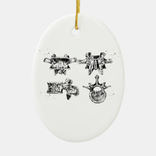 Ornamento De Cerâmica Estrutura da espinha lombar