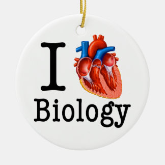 Ornamento De Cerâmica Eu amo a biologia