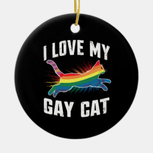 Ornamento De Cerâmica Eu Amo O Meu Gay Gato Engraçado Do Arco-Íris Lgbt