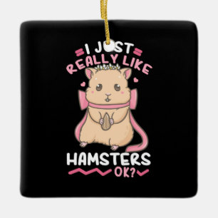 Ornamento De Cerâmica Eu Gosto Muito De Hamsters Ok