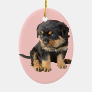 Ornamento De Cerâmica Eu não preciso ser dito que sou bonito