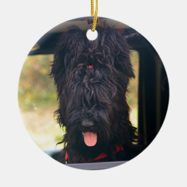 Ornamento De Cerâmica Eu possuo este jipe (Frente)