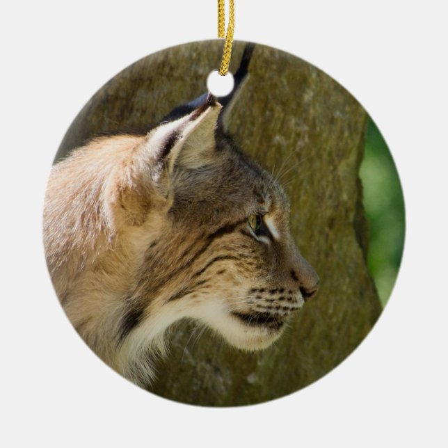 Ornamento De Cerâmica Eurasian Lynx (Frente)