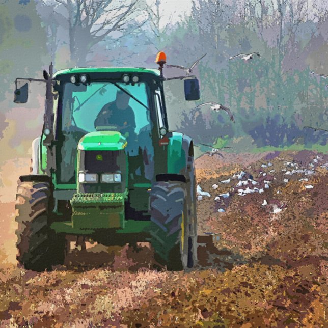 ORNAMENTO DE CERÂMICA EXPLORAÇÃO (Criador carregado)