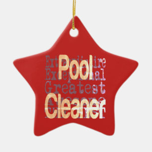 Ornamento De Cerâmica Extraordinário da Limpeza de piscina