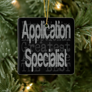 Ornamento De Cerâmica Extraordinário do Application Specialist