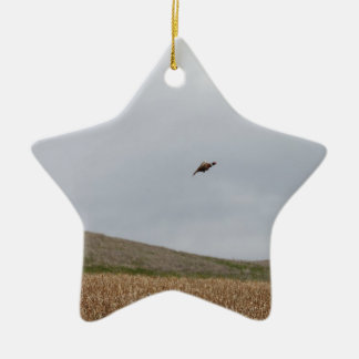 Ornamento De Cerâmica faisão do vôo