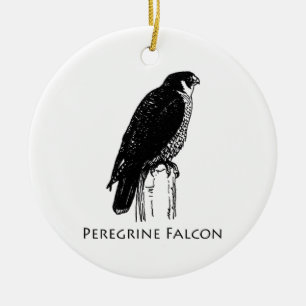 Ornamento De Cerâmica Falcão de peregrino (ilustração)