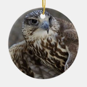 Ornamento De Cerâmica Falco cherrug