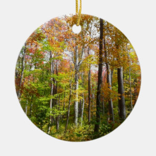 Ornamento De Cerâmica Fall Forest I Autumn Landscape Photoshop