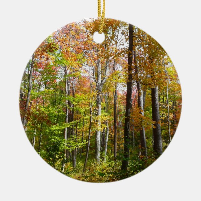 Ornamento De Cerâmica Fall Forest I Autumn Landscape Photoshop (Frente)