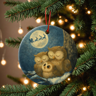 Ornamento De Cerâmica Família de Corujas Caprichosas na Véspera de Natal