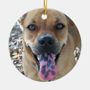Ornamento De Cerâmica Feliz cão castanho com a língua avistada